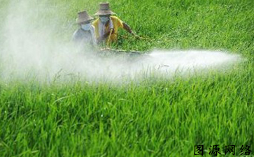 農(nóng)藥產(chǎn)品防偽標(biāo)簽如何防偽假冒產(chǎn)品流入市場(chǎng)