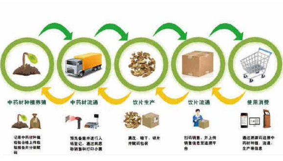 中藥材生產(chǎn)全過(guò)程品質(zhì)溯源系統(tǒng) 建立中藥材生產(chǎn)全過(guò)程品質(zhì)可溯源系統(tǒng)體系