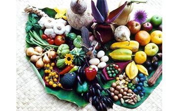 解析農(nóng)產(chǎn)品溯源系統(tǒng)的功能特點(diǎn)