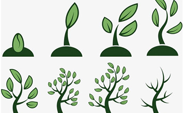 種子防竄貨系統(tǒng)如何實(shí)現(xiàn)？